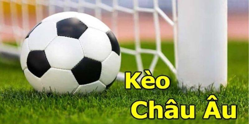 Chú ý quan trọng khi đặt cược 1x2 đến thành viên