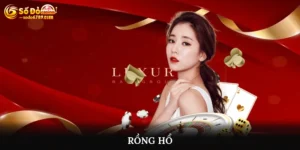 rồng hổ