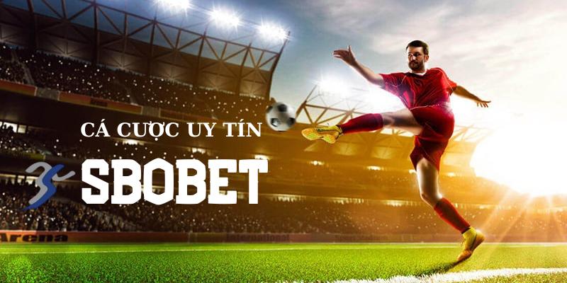 Vô vàn sản phẩm cá độ thể thao cho bạn trải nghiệm